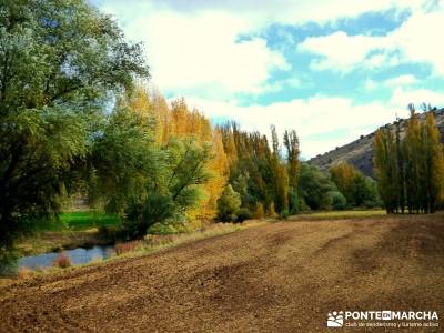 Hoces Río Riaza - Villa Ayllón; parque nacional de las islas atlánticas ruta por asturias y canta